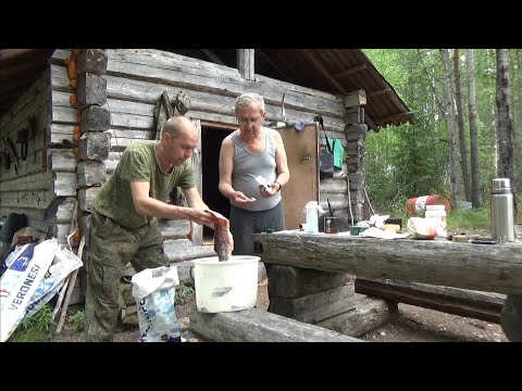 Видео: Рыбалка с ночёвкой/ Щуки на спиннинг/ Изба/ Солонец для лося/ Черника.