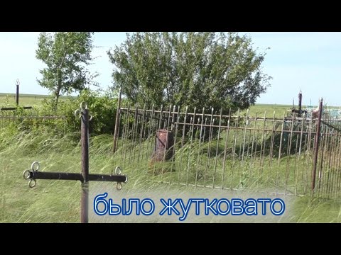 Видео: Немецкое старое кладбище.Возле заброшенного немецкого села.