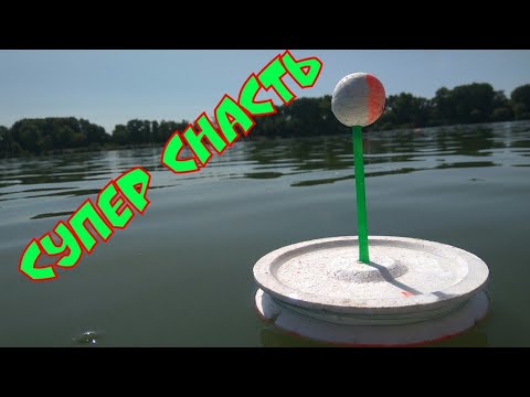 Видео: ЛОВЛЯ КАРПА, КАРАСЯ НА КРУЖКИ (карп сходит сума от этой снасти).