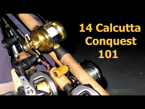 Видео: Shimano 14Calcutta Conquest 101, первая часть.