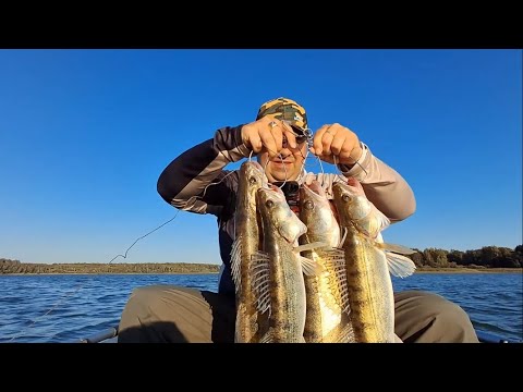Видео: Очередная Классная Рыбалка на Вазузе