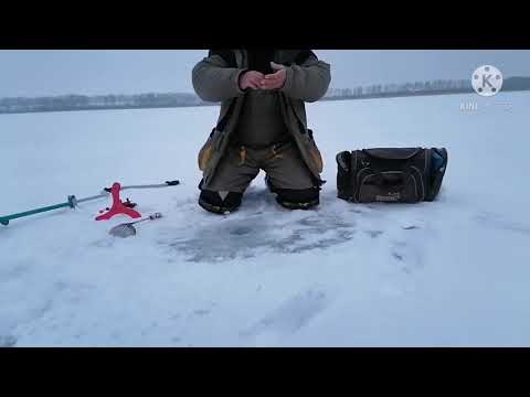 Видео: РЫБАЛКА на ФОРЕЛЬ на платнике ЗИМОЙ. Часть 3.