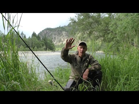 Видео: ОДИН ПО ТАЙГЕ, БРОЖУ РЕКУ! ПОЙМАЛ КРАСНОКНИЖНИКА! ЕСТЬ ЗАЧЁТНЫЙ ХАРИУС!