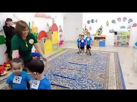 Видео: 4 ноября 2025 г.