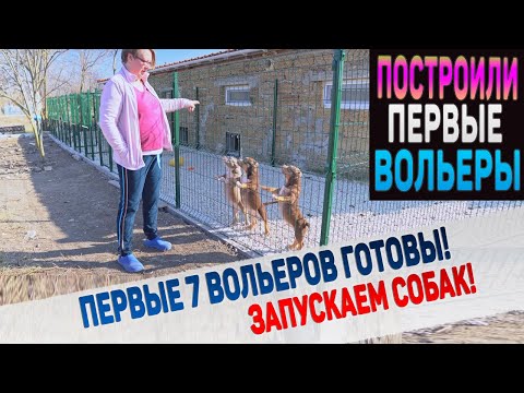 Видео: Достроили наш идеальный питомник! Хотим парк для собак! Запускаем собак и щенков в уличные вольеры.