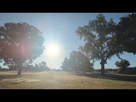 Видео: еще одна утренняя прогулка...