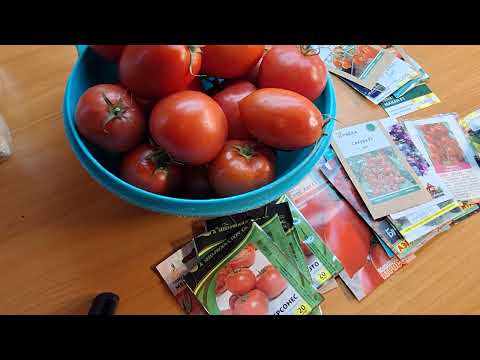Видео: Начинаем планировать сезон 2026. Томаты.
