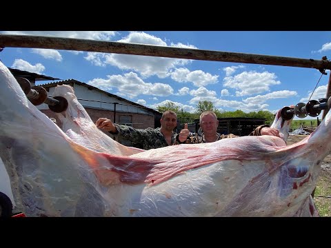 Видео: КАК ПРИГОТОВИТЬ ДОМАШНИЕ ДЕРЕВЕНСКИЕ КОЛБАСКИ мясо деревня рецепт