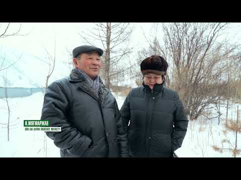 Видео: Мод бол Бурхан