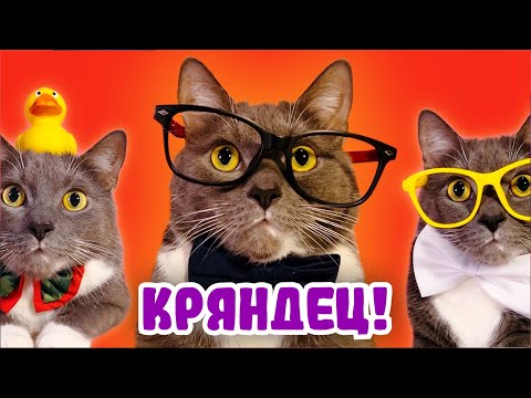 Видео: ШКОЛЬНЫЙ ХУЛИГАН