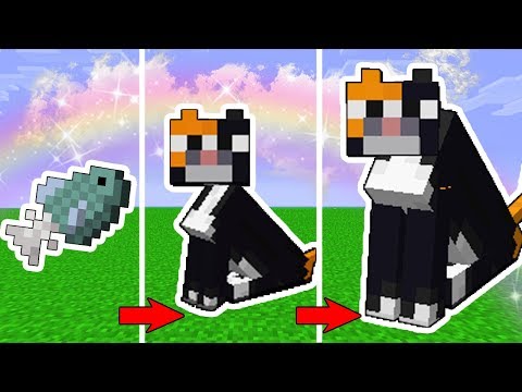 Видео: КАК МЕНЯЛСЯ КОТ ОЦЕЛОТ МОБ И ЕГО ЖИЗНЕННЫЙ ЦИКЛ В МАЙНКРАФТ