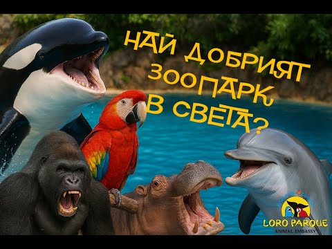 Видео: ЛОРО ПАРК - ТЕНЕРИФЕ! 2025. Най добрият зоопарк в СВЕТА! LORO PARQUE – TENERIFE! The Best Zoo!