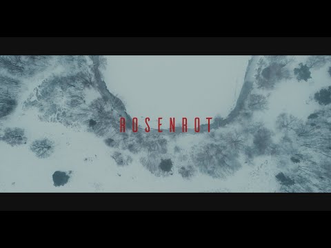 Видео: Rammstein - Rosenrot (cello cover / кавер виолончель)