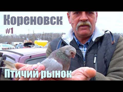 Видео: Птичий рынок. Кореновск. Часть 1. [14.03.2021]