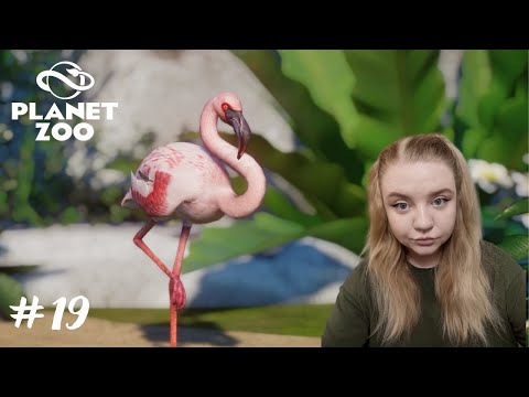 Видео: Фламинго и страусы! ➤Planet Zoo #19