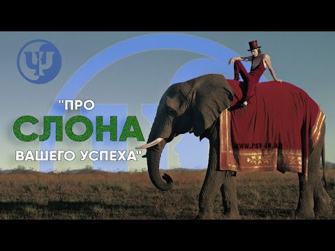 Видео: Про СЛОНА вашего успеха. Ковалев С.В.