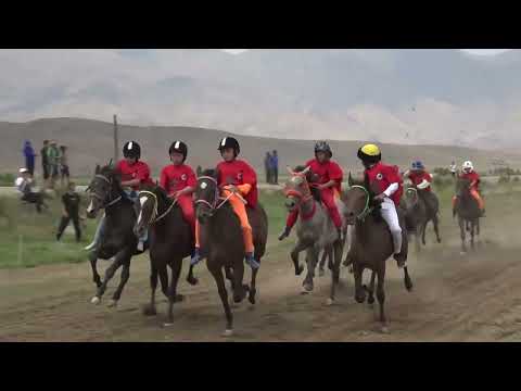 Видео: Тай жарыш