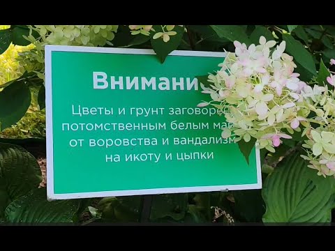 Видео: Иду к стоматологу. Прогулка. Болталка про здоровье и немного про марафон в октябре.