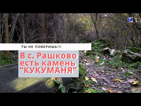 Видео: В селе Рашков «прокладывают» тропу успеха