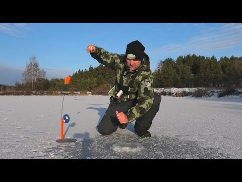 Видео: ВОТ ЭТО ПОПАЛ НА ЖОР. Жерлицы стреляют одна за другой. Рыбалка на жерлицы и балансиры со льда