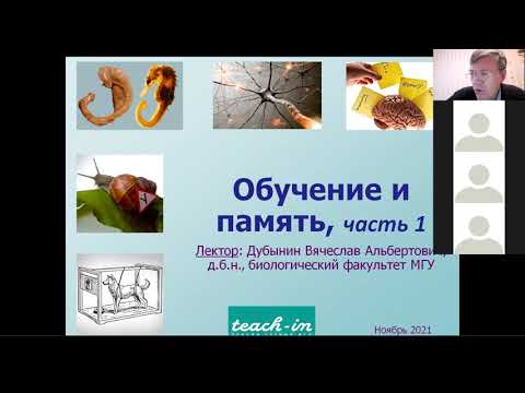 Видео: Вячеслав Дубынин ФЧЖ 4 курс 2021 лекция память