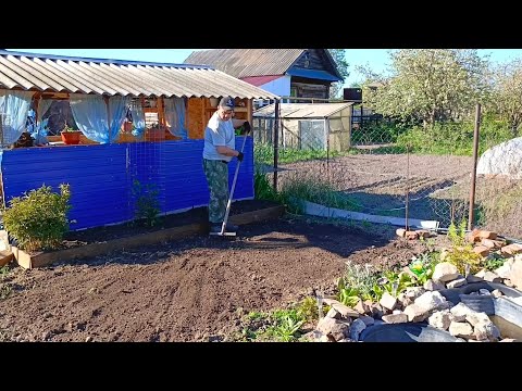 Видео: Огородные дела, сажаем цветы ...май 2024