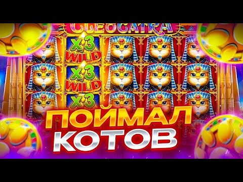 Видео: СЛОВИЛ 2 ПОДРЯД ПОЛЯНЫ КОТОВ В CLEOCATRA!!! ОФОРМИЛ МОЩНЫЙ ОКУП!!!