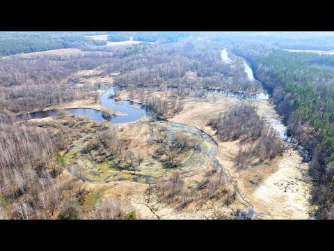 Видео: Вдоль Свислочи от Пухович до Осипович | relax | 4K