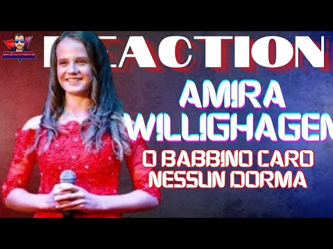 Видео: Потрясающее выступление Амиры Виллигхаген