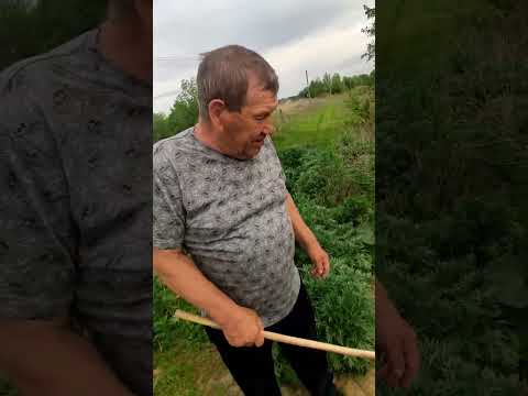 Видео: Вода уходит из пруда,закрываем задвижку чтоб спасти карпа