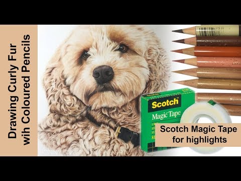 Видео: Как нарисовать кудрявую шерсть цветными карандашами