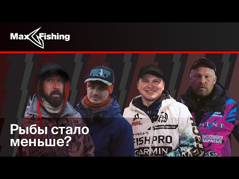 Видео: Рыбы стало меньше?