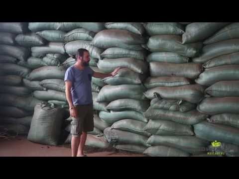 Видео: Китай. Огромный завод чая пуэр в уезде Мэнхай China Yunnan One of the biggest puer tea factories