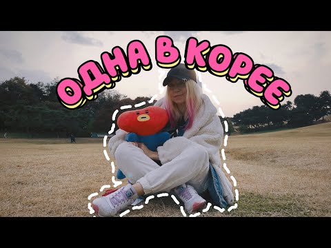 Видео: Корея VLOG#1 / Сеул: ОДНА В КОРЕЮ 😱 аэропорт Инчхон