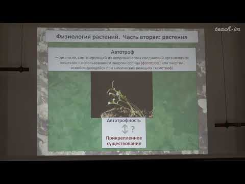 Видео: Константинова С.В. - Физиология и биохимия растений - 1. Общие черты растительной и животной клеток