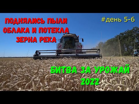 Видео: ГОЛОДА НЕ БУДЕТ / На Кубани Неплохой Урожай Зерновых 2022 / Битва За Урожай 2022.