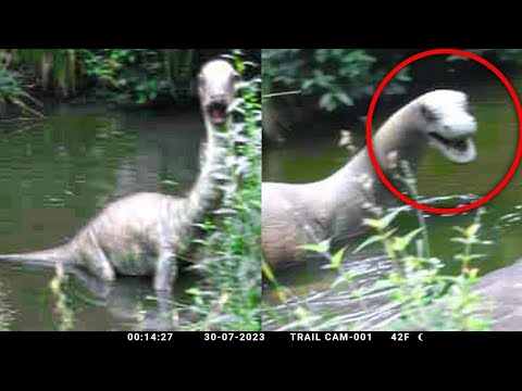 Видео: Глаза не Верят, Но Это Видео Повезло Снять на Камеру!