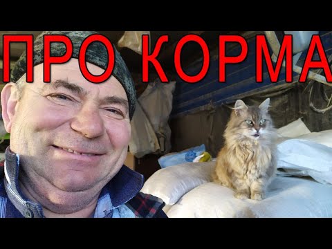 Видео: Про корма | Из чего состоит комбикорм.