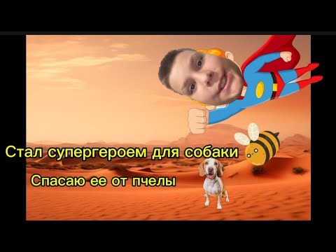 Видео: Стал супергероем для собаки Спасаю ее от пчелы