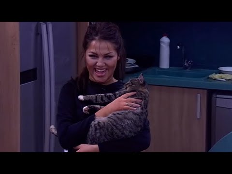 Видео: Илюшка✖️Камила✖️Саша Гозиас: Бестолковая любовь (5 серия)