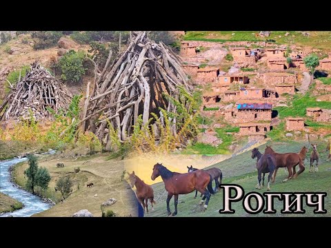 Видео: Сайри куххои Рогичу Зиндовуд. Сафари се руза. 08 08 2024 кисми 1. UMED VIDEO Tajikistan zarafshon