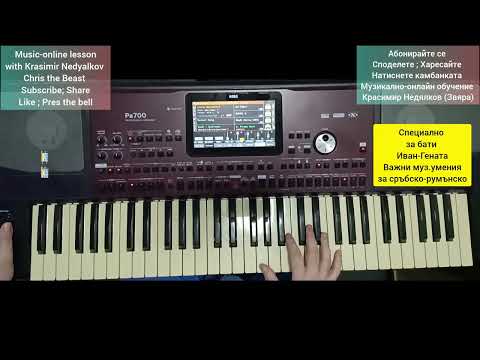 Видео: Урок за орнаменти в сръбски и румънски стил