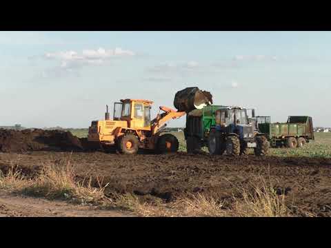 Видео: навоза разбрасыватель мту 18