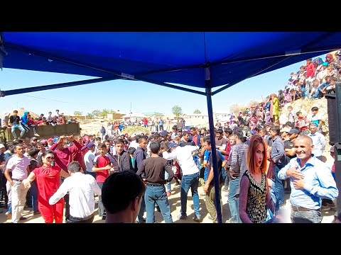 Видео: Далери Зарифи туёна Косабулок Ракосачахо мардуми Косабулока девона кадан