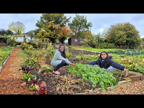 Видео: ОСЕННИЕ новости о нашем УЧАСТКЕ | Смотрим наш ПЕРВЫЙ ВИДЕОБЛОГ с новой мобильной камерой. Собирае...
