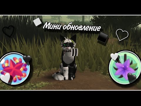 Видео: НОВОЕ МИНИ ОБНОВЛЕНИЕ! #warriorcatsultimateedition #warriorcats