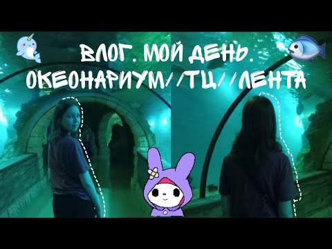 Видео: Влог. Мой день. Океонариум//Тц//Лента 💙