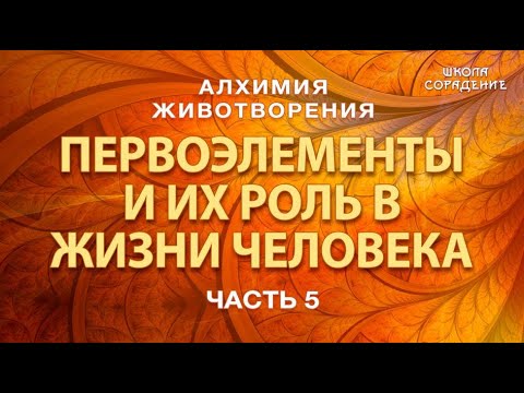 Видео: Первоэлементы и их роль в жизни человека #Гарат #АлхимияЖивотворения #семинарыМосква
