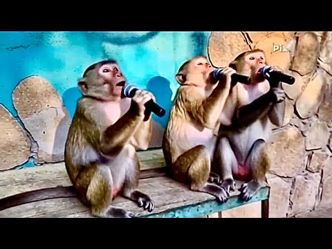 Видео: Ночью ПОСМЕЯЛИСЬ и ПОПЛАКАЛА! Ролики Руслана Яковлева трогают до глубины души!!!