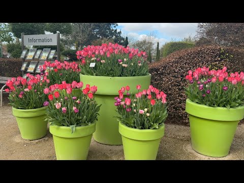 Видео: Декор, контейнерное озеленение, МАФы в саду 🌿 НОВИНКИ !! Идеи, примеры из Парка Садов